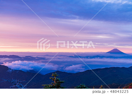 【山梨県】国師ヶ岳・紅葉・富士山・夜明け 48043225