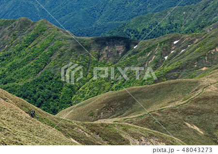 上越国境・蓬峠付近の草原を行く登山者 上越国境・蓬峠付近の草原を行く登山者 48043273