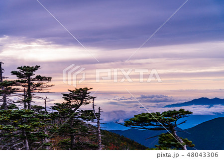 【山梨県】国師ヶ岳・紅葉・夜明け 48043306