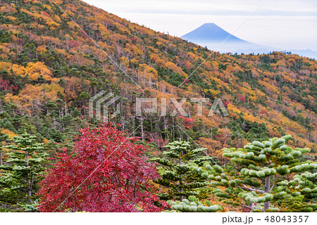【山梨県】国師ヶ岳・紅葉・富士山 48043357