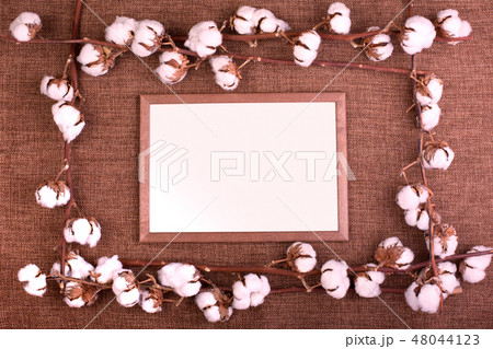 Frame with fluffy dried cotton bolls over rough brown burlap. Top view, copy space, greeting card 48044123