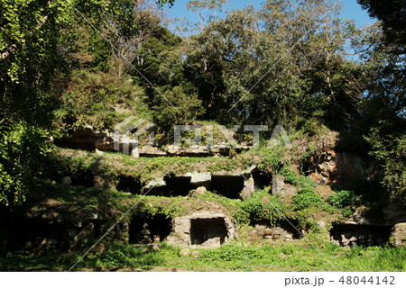 鎌倉　まんだら堂やぐら群 48044142