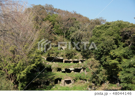 鎌倉　まんだら堂やぐら群 48044146