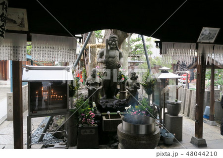 【近畿三十六不動霊場】第五番　上町台にある報恩院の不動明王像　大阪府大阪市中央区 48044210