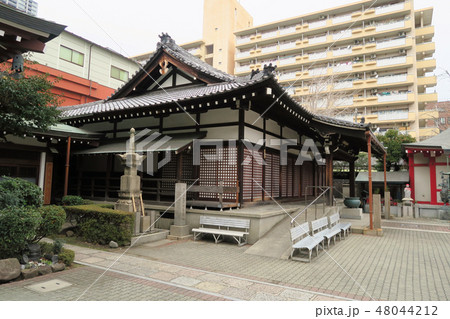 【近畿三十六不動霊場】第七番【西国四十九薬師霊場】第十七番　大本山摂津国分寺の本堂　大阪府大阪市北区 48044212