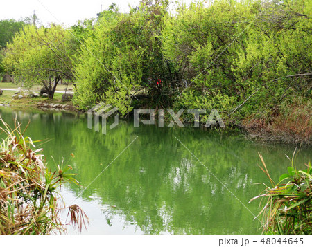 湖 湖上 一湖 48044645