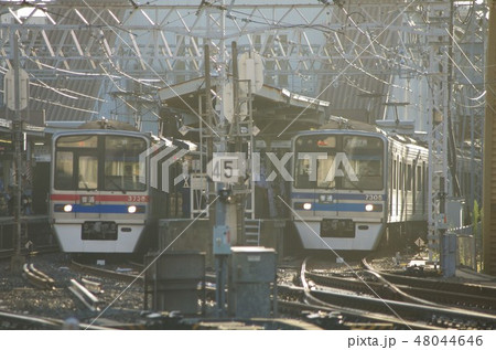 京成線並び 京成線並び 48044646