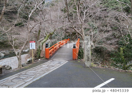 西明寺の入口と冬枯れの木々 京都府京都市右京区 西明寺の入口と冬枯れの木々 京都府京都市右京区 48045339