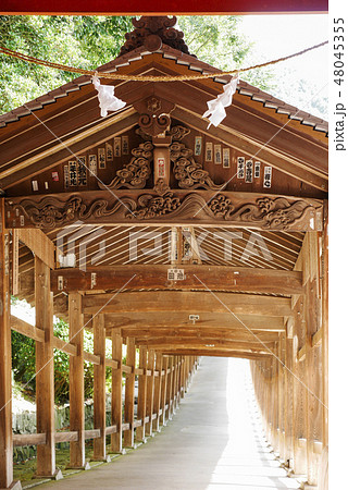 岡山 岡山 48045355