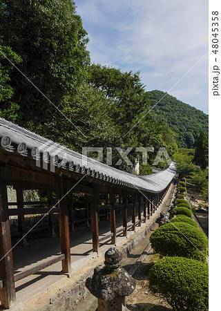 岡山 48045358