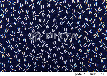 伝統和風模様のトンボ柄 48045944