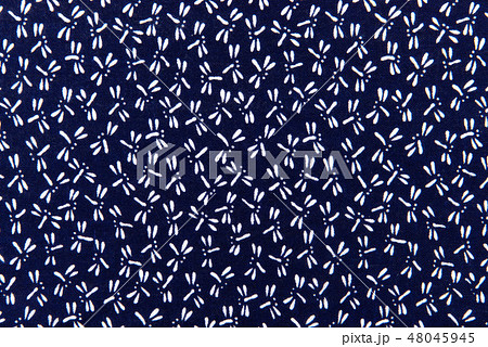 トンボ柄 トンボ柄 48045945