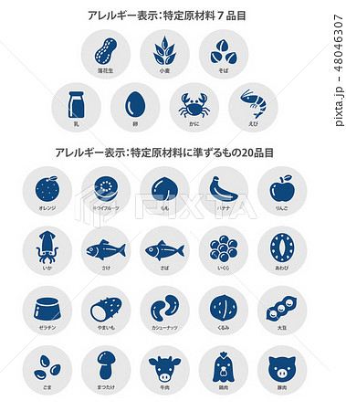 食物アレルギー誘発物質　原材料アイコンイラスト 48046307