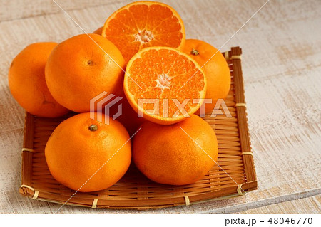 ミカンのはるみ ミカンのはるみ 48046770