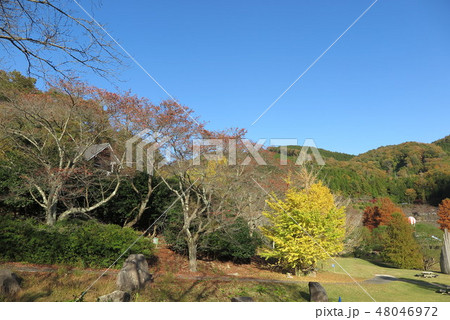 のどごえ公園 八千代湖 ダム のどごえ公園 八千代湖 ダム 48046972