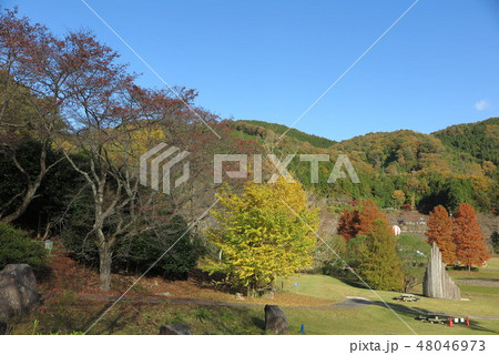 のどごえ公園 八千代湖 ダム のどごえ公園 八千代湖 ダム 48046973