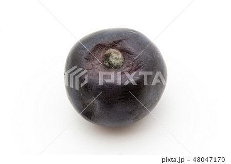 腐敗したブルーベリー　アルテナリア　カビ　腐る　菌　病害菌　病原菌　腐敗果 48047170