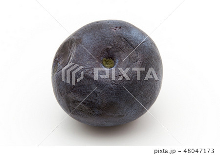腐敗したブルーベリー アルテルナリア クロカビ 腐る 菌 病害菌 病原菌 腐敗果 腐敗したブルーベリー アルテルナリア クロカビ 腐る 菌 病害菌 病原菌 腐敗果 48047173