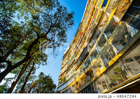 アジア人 アジアン アジア風 48047294