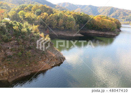 八千代湖  土師ダム  ダム 48047410