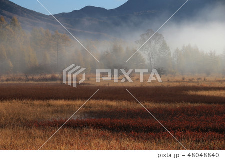 小田代原・秋#29 48048840