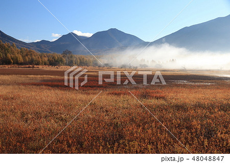 小田代原・秋#36 48048847