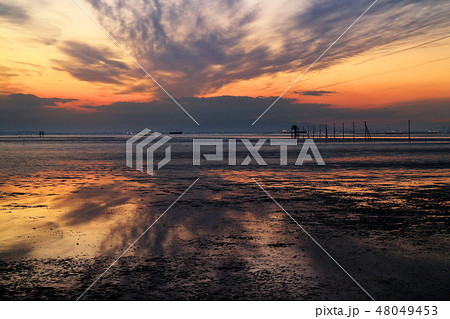 久津間海岸（木更津市） 48049453