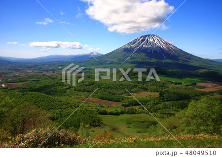 初夏の羊蹄山と背後のニセコ連峰 48049510