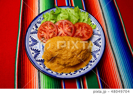 ピピアン・ロホ（メキシコ料理）　pipian rojo 48049704