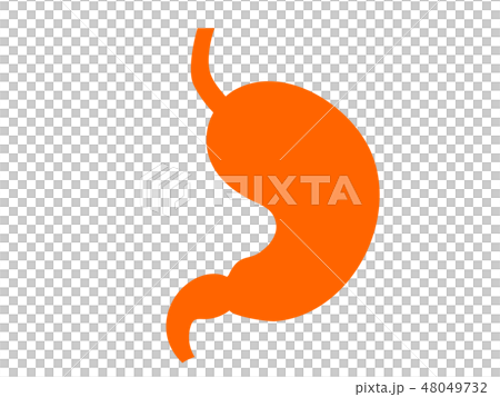 Organ stomach silhouette Pict-style illustration Organ stomach silhouette Pict-style illustration 48049732