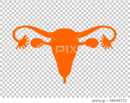 Organ Uterus Silhouette Pict-style illustration Organ Uterus Silhouette Pict-style illustration 48049733