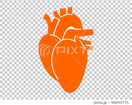 Organ cardiac silhouette Picto style illustration Organ cardiac silhouette Picto style illustration 48049735