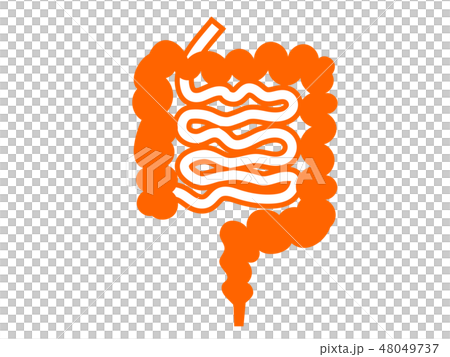 Organ intestinal silhouette Pict-style illustration Organ intestinal silhouette Pict-style illustration 48049737