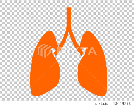 Organ lung silhouette Pict-style illustration Organ lung silhouette Pict-style illustration 48049738