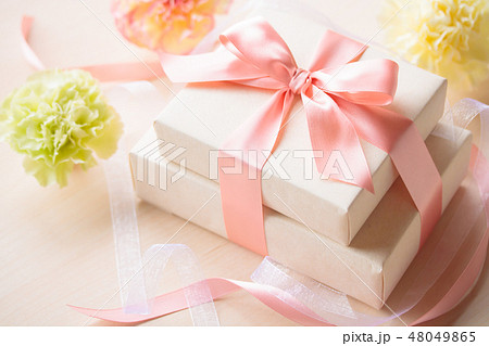 母の日ギフト 母の日ギフト 48049865