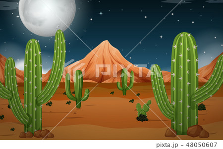 A desert at night 48050607