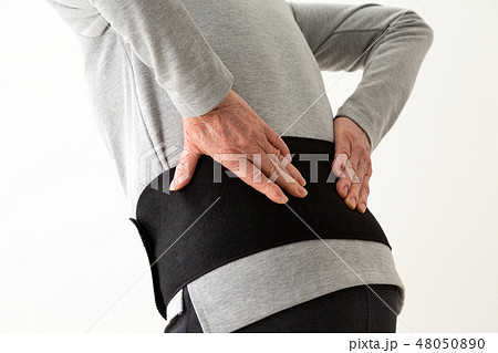 シニア　コルセット 48050890