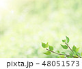 新緑-葉-グリーン-逆光-さわやか 48051573