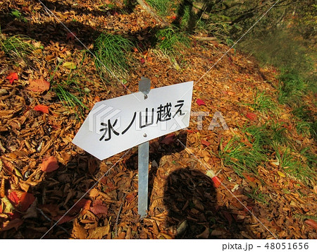 氷ノ山　標識 48051656