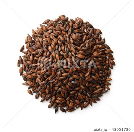 Top view of dark malted barley 48051780