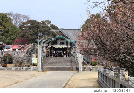 早春の「滝宮天満宮」 48053547