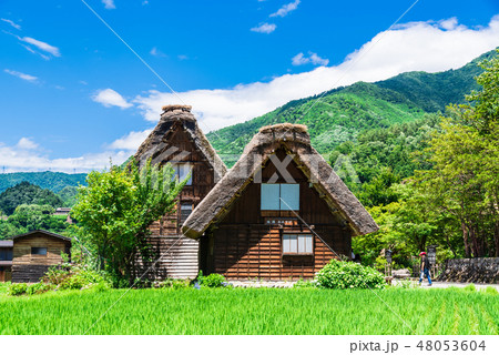 日本の原風景 白川郷 日本の原風景 白川郷 48053604