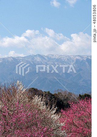 員弁農業公園から見える藤原岳 員弁農業公園から見える藤原岳 48053806