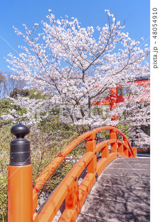 京都下鴨神社 賀茂御祖神社 京都お花見所 京都観光スポットの写真素材