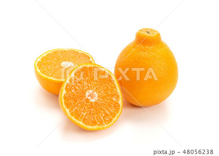 しらぬひオレンジ しらぬひオレンジ 48056238