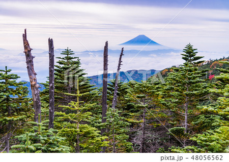 【山梨県】紅葉した国師ヶ岳から富士山遠望 【山梨県】紅葉した国師ヶ岳から富士山遠望 48056562