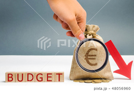 Wooden blocks and the inscription Budget  48056960