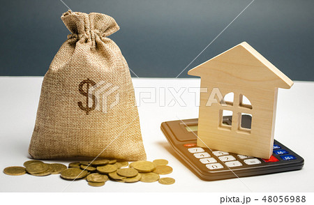 Bag with money and dollar sign and wooden houses 48056988