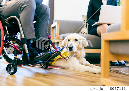 日本ユニバーサルマナー協会監修素材 障害者 車椅子 介助犬 48057111