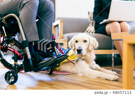 日本ユニバーサルマナー協会監修素材 障害者 車椅子 介助犬 日本ユニバーサルマナー協会監修素材 障害者 車椅子 介助犬 48057113